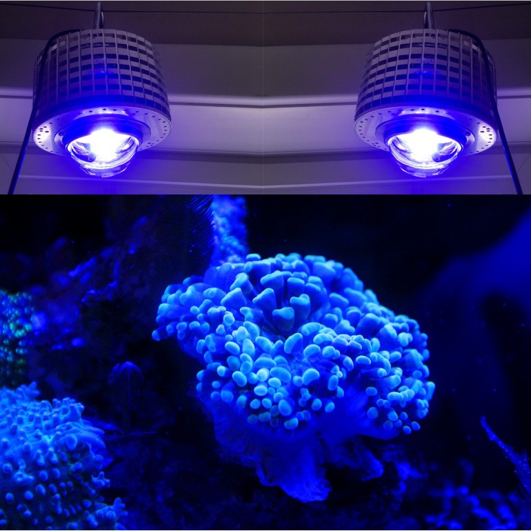 Aquarium Marine Color - LED Aquarium Lighting Full Spectrum, 100W,