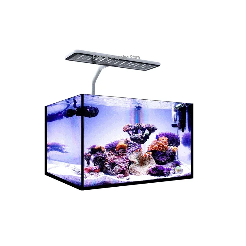 MicMol G2 Aqua CC Unboxing Aqu - Aqua Marine Tank のレビューと価格