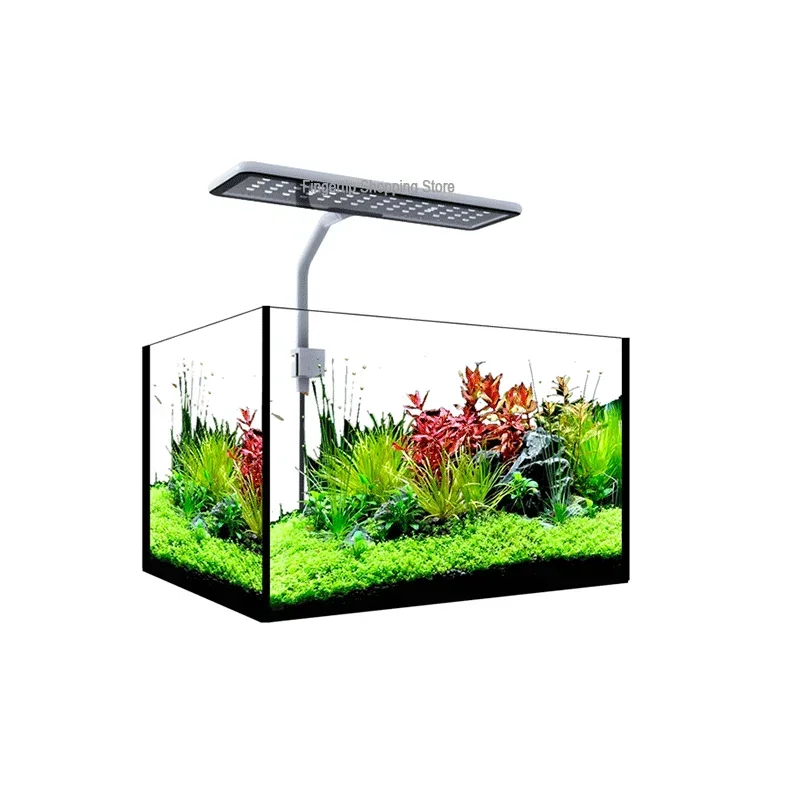 MicMol G2 Aqua CC Unboxing Aqu - Aqua Marine Tank のレビューと価格