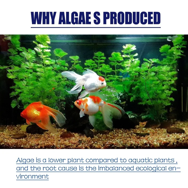 50g High Efficiency Algaecide  - Aquarium Marine Plants のレビューと価格