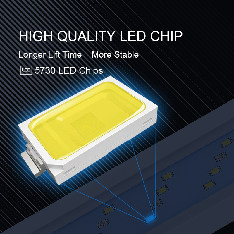 Extensible Waterproof Clip on  - Aquarium Marine Light のレビューと価格