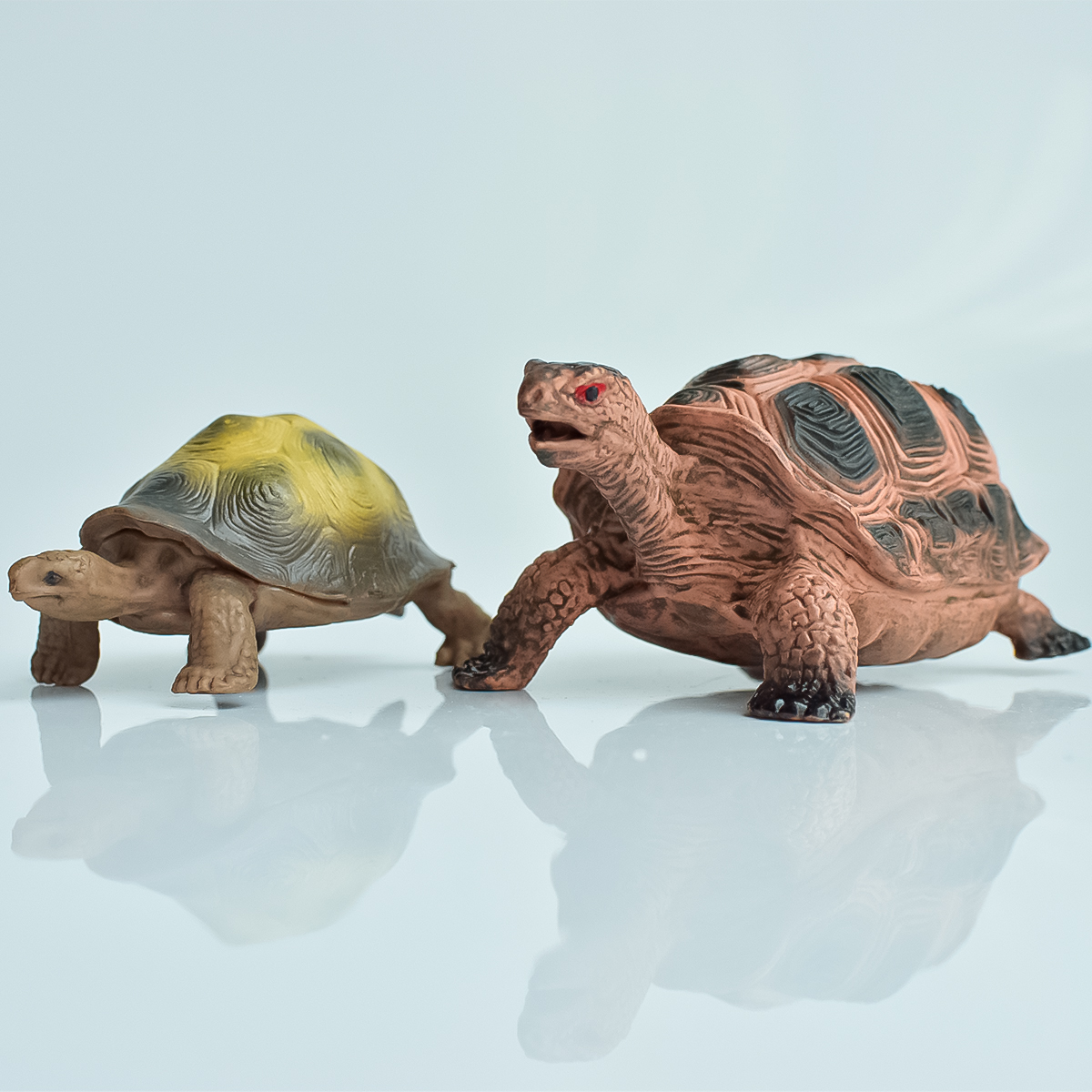Painted Realistic Animal Turtl - Aquarium Marine Plants のレビューと価格