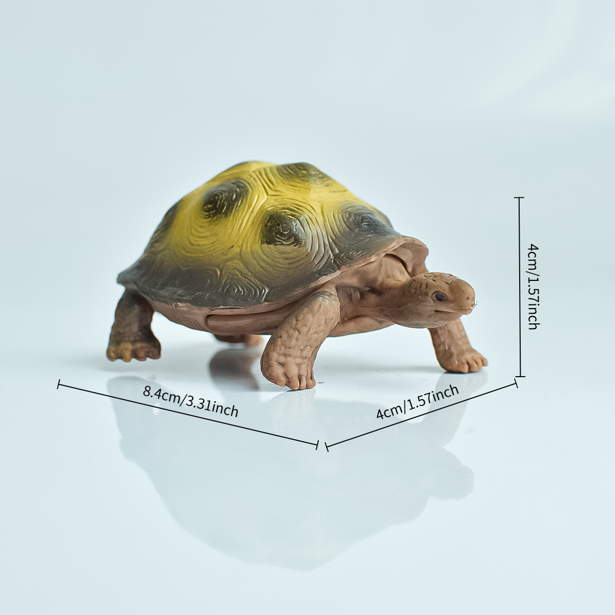 Painted Realistic Animal Turtl - Aquarium Marine Plants のレビューと価格