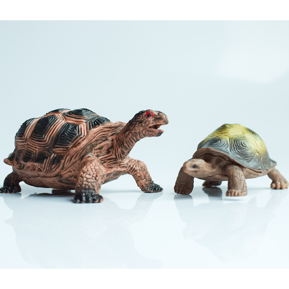 Painted Realistic Animal Turtl - Aquarium Marine Plants のレビューと価格
