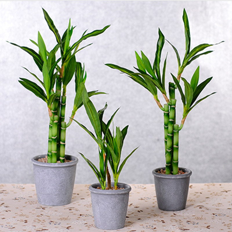 New 40cm rFtificial Lucky Bamb - Aquarium Marine Plants のレビューと価格