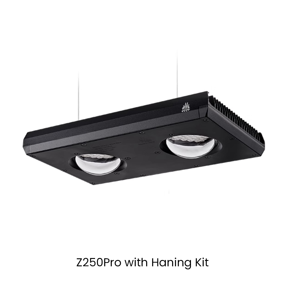 Week AQUA Z250/Z400 Sea LED Re - Aqua Marine Tank のレビューと価格