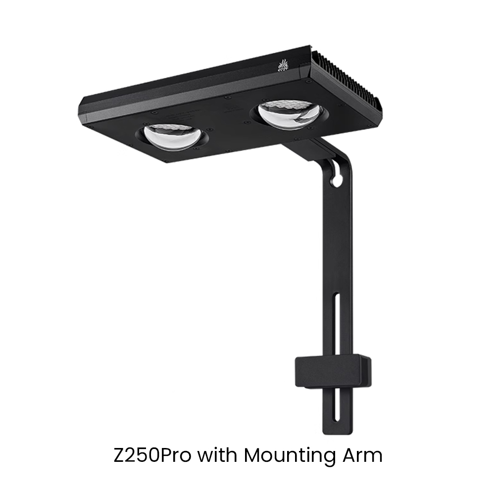Week AQUA Z250/Z400 Sea LED Re - Aqua Marine Tank のレビューと価格