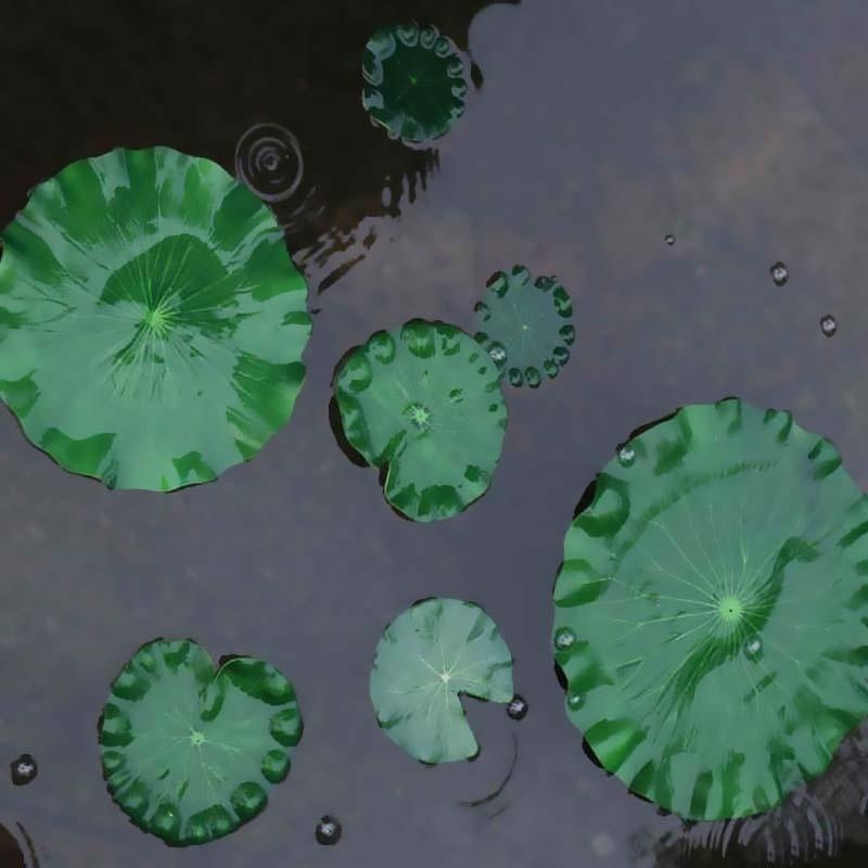 2026 Artificial Water Lily Lot - Aquarium Marine Plants のレビューと価格