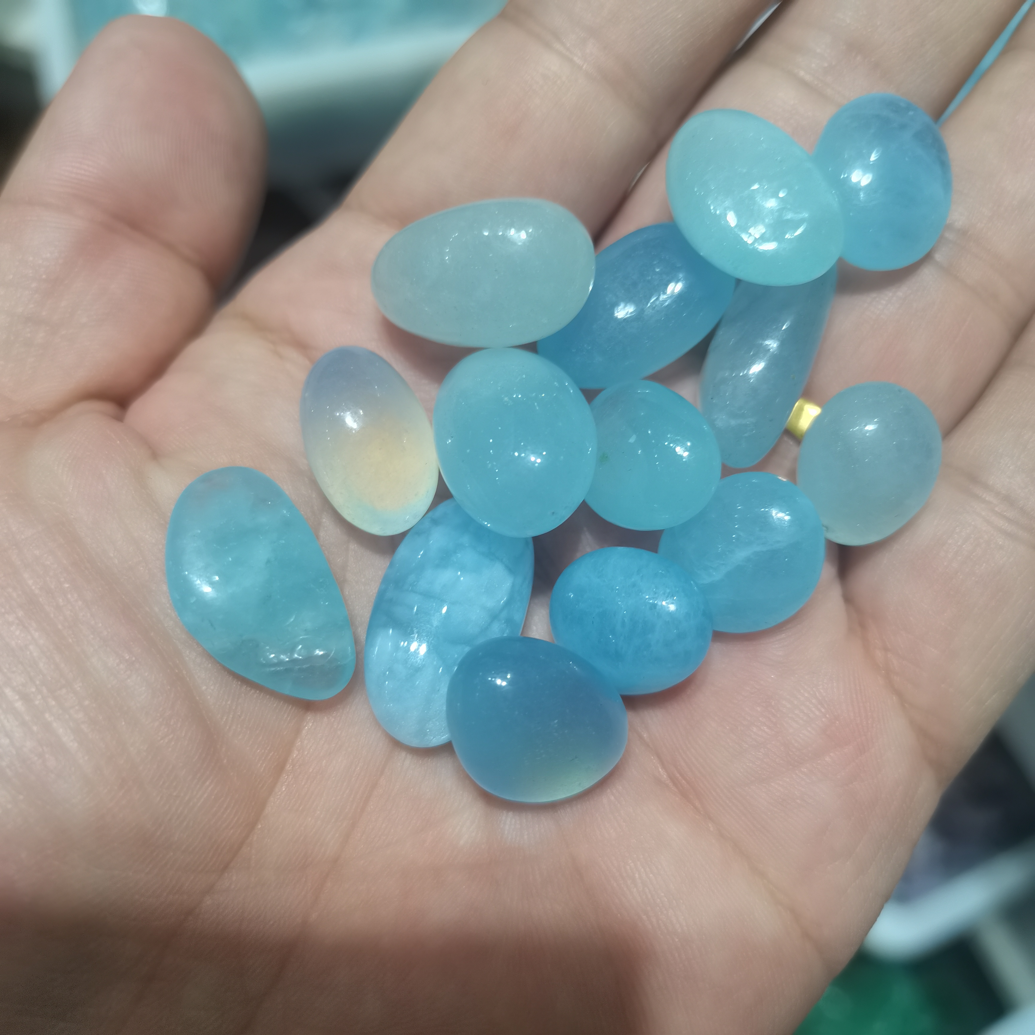 1000g Bulk Natural Blue Aquama - Aqua Marine Tank のレビューと価格