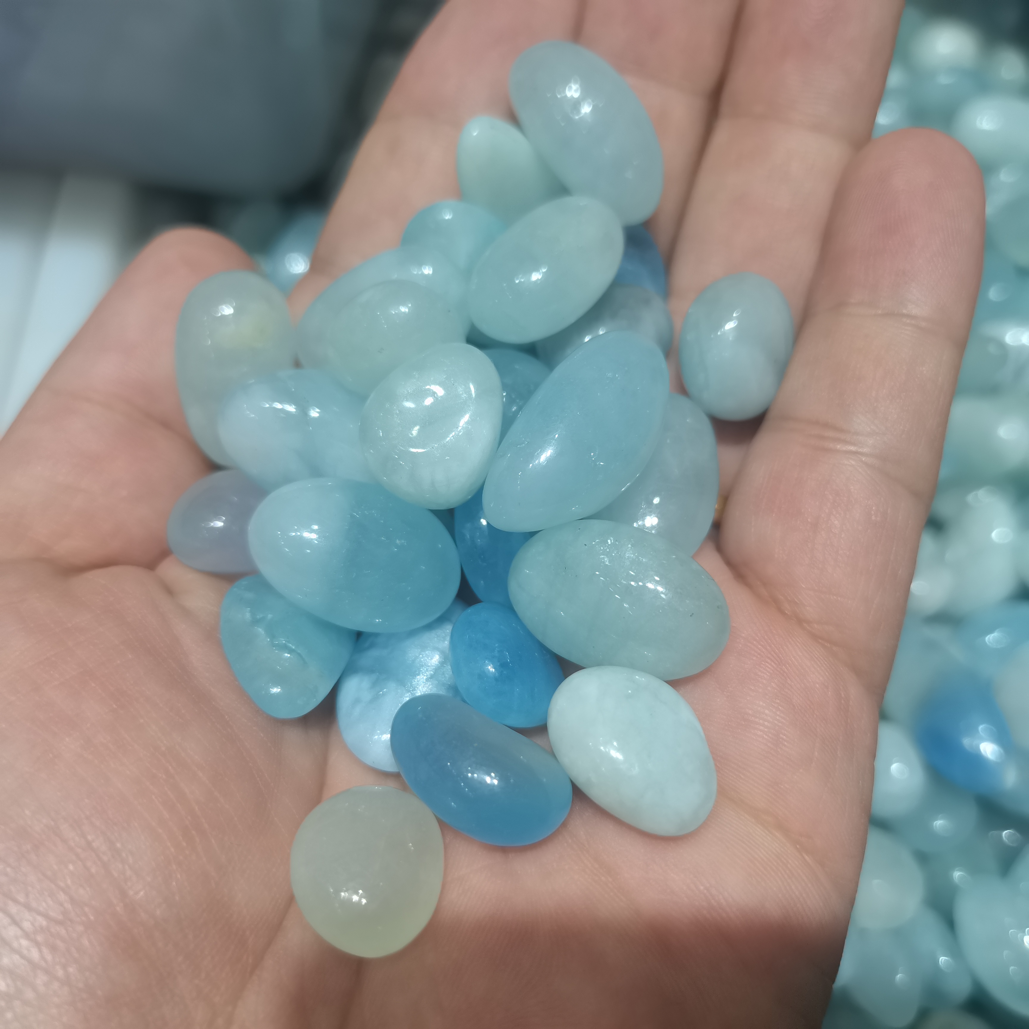 1000g Bulk Natural Blue Aquama - Aqua Marine Tank のレビューと価格