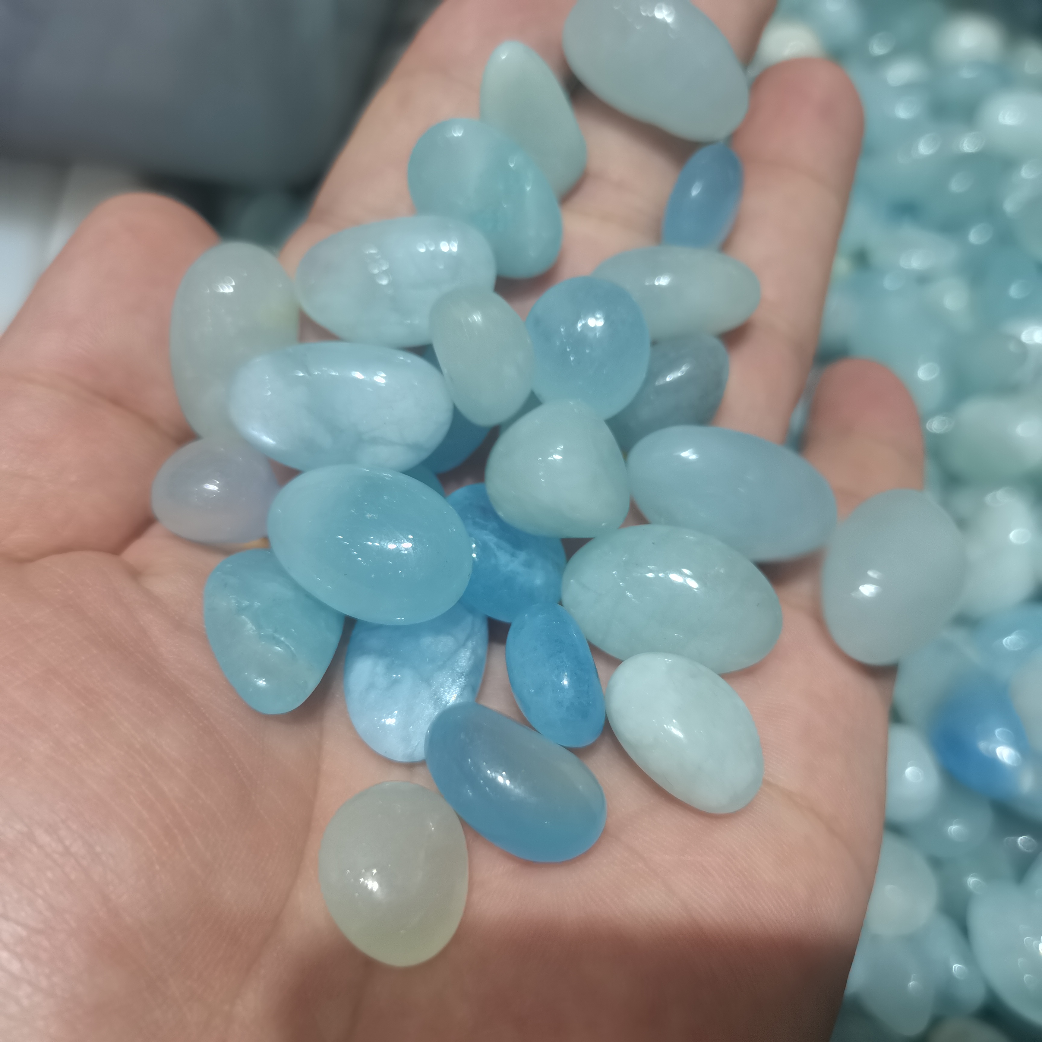 1000g Bulk Natural Blue Aquama - Aqua Marine Tank のレビューと価格