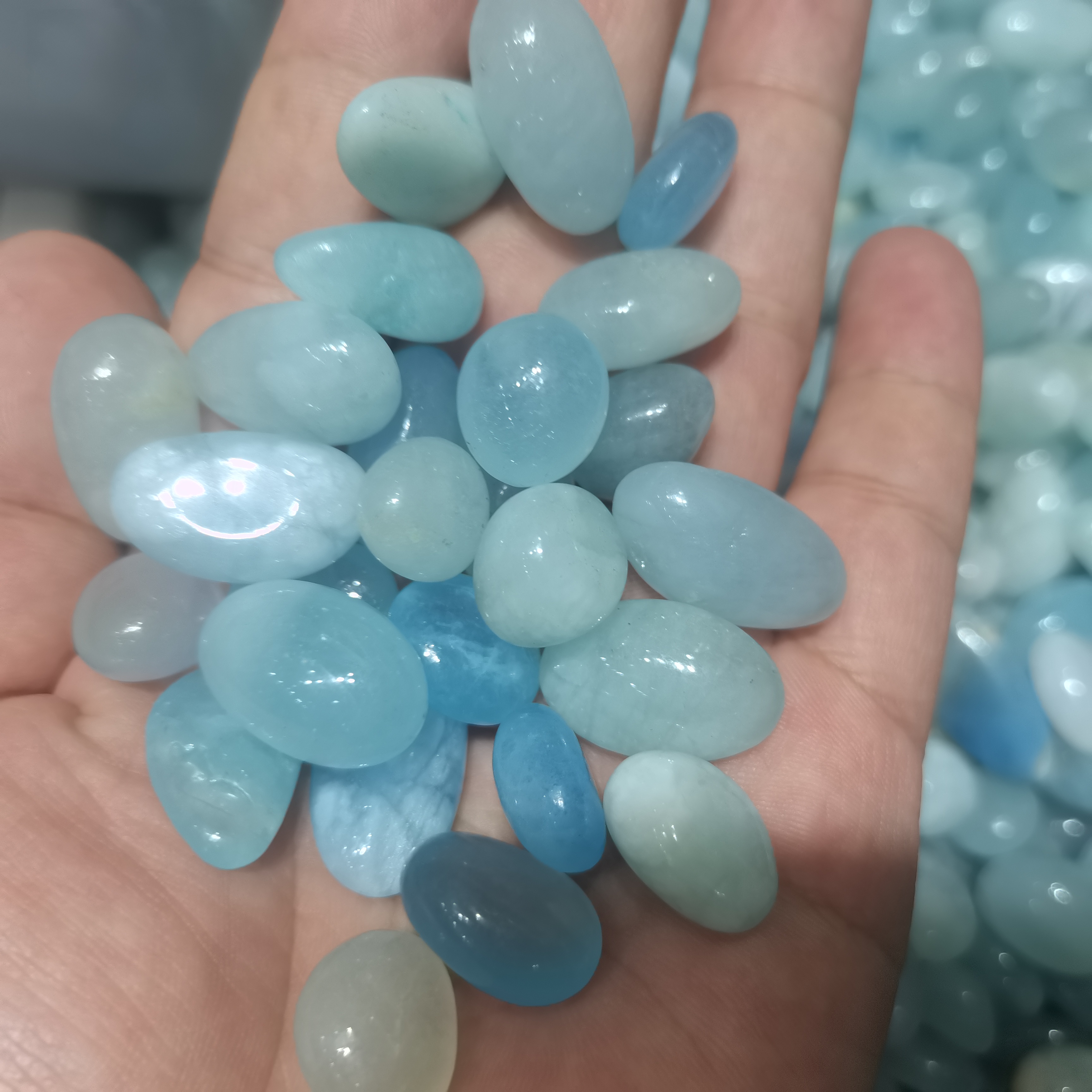 1000g Bulk Natural Blue Aquama - Aqua Marine Tank のレビューと価格