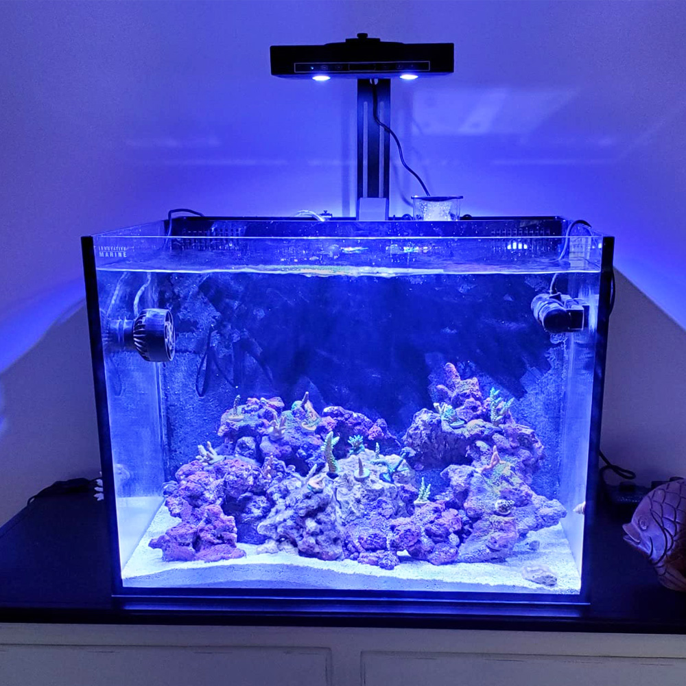 95W Multi-channel Control Syst - Aqua Marine Tank のレビューと価格