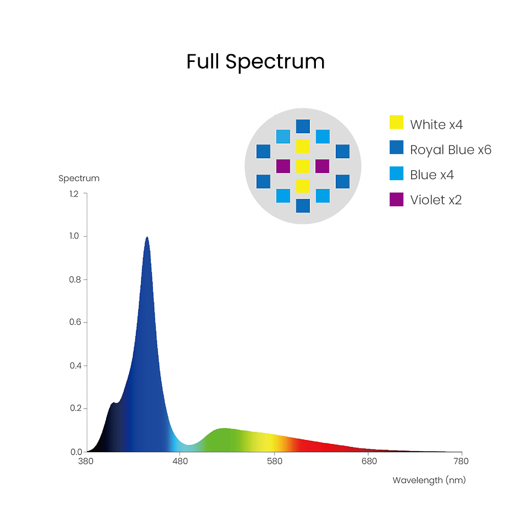 Spectra Aqua Knight V3 75W Pro - Aqua Marine Tank のレビューと価格