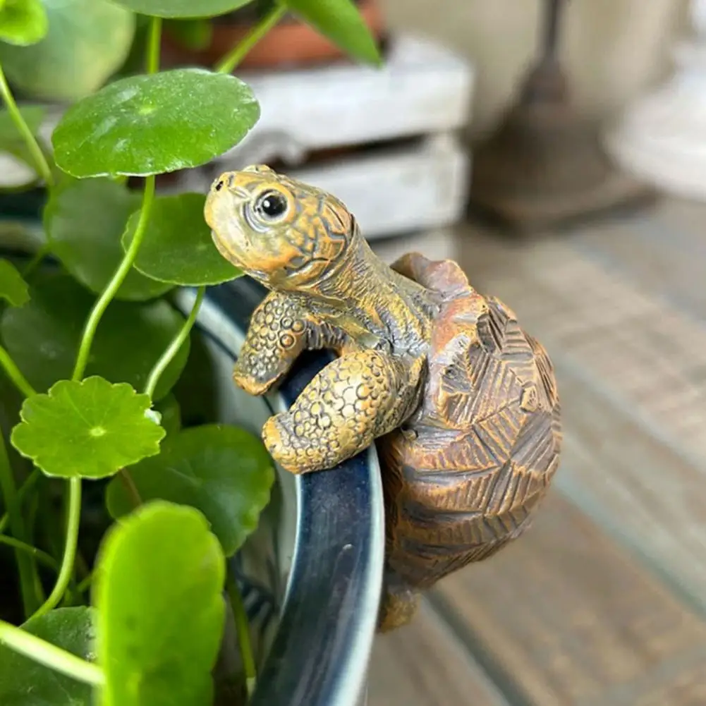Fishing Turtle Hanging Turtle  - Aquarium Marine Plants のレビューと価格