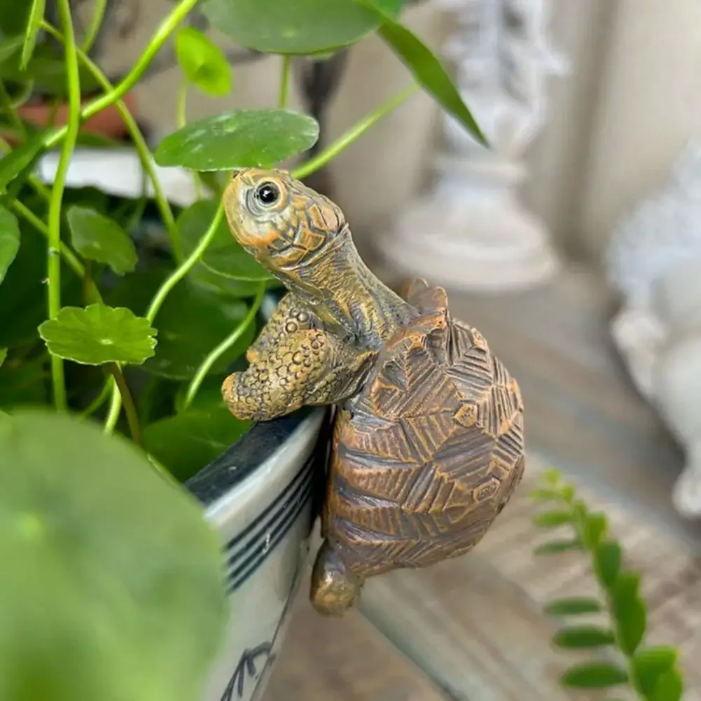 Fishing Turtle Hanging Turtle  - Aquarium Marine Plants のレビューと価格