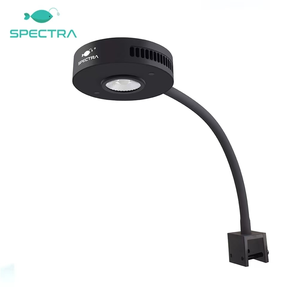 Spectra Aqua Knight V2 36W Ful - Aqua Marine Tank のレビューと価格