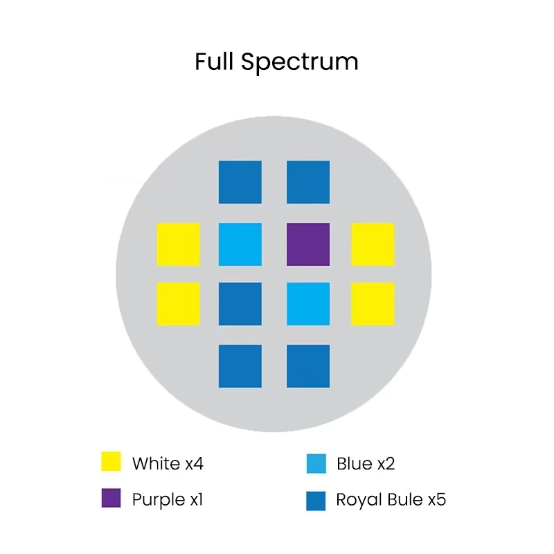 Spectra Aqua Knight V2 36W Ful - Aqua Marine Tank のレビューと価格