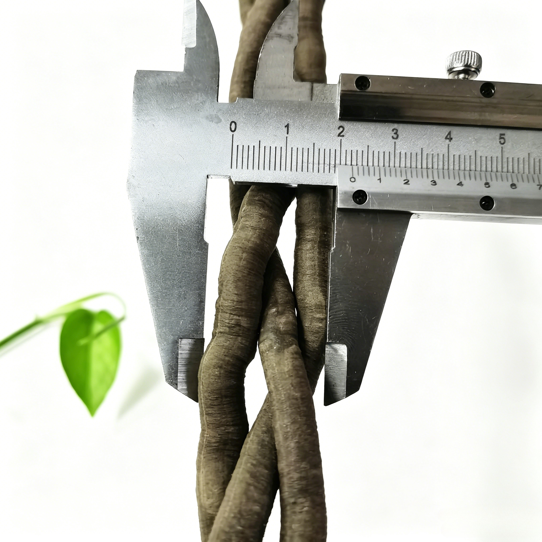 100cm Artificial Vine Fake Pla - Aquarium Marine Plants のレビューと価格