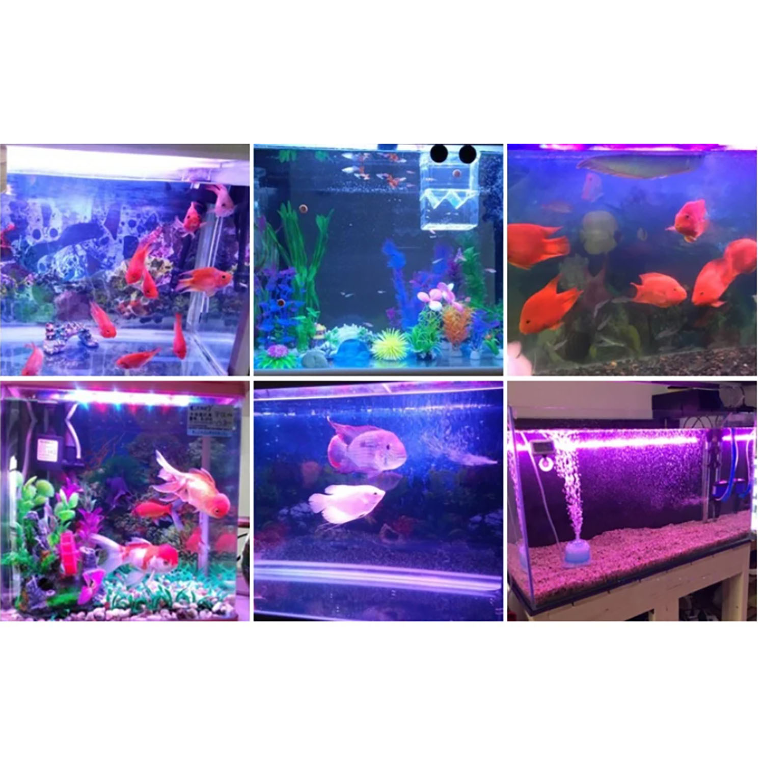 50W 60W 70W 100W RGB 26-28V Hi - Aquarium Marine Color のレビューと価格