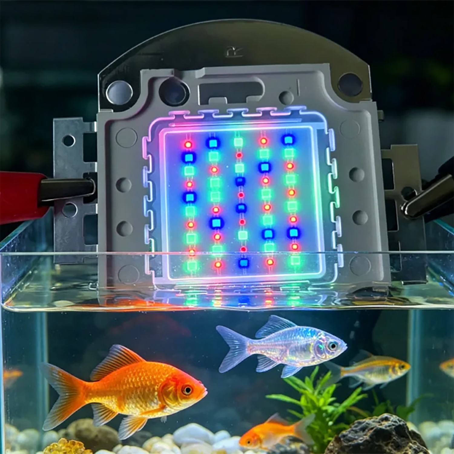 50W 60W 70W 100W RGB 26-28V Hi - Aquarium Marine Color のレビューと価格