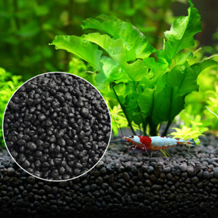 Aquarium Plant Seeds Soil Fish - Aquarium Marine Plants のレビューと価格