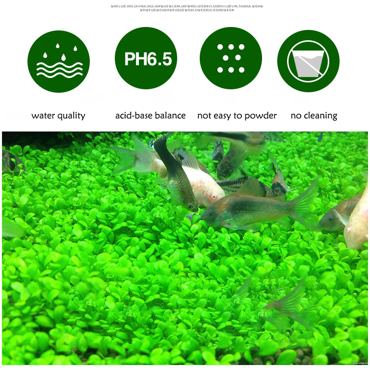 Aquarium Plant Seeds Soil Fish - Aquarium Marine Plants のレビューと価格