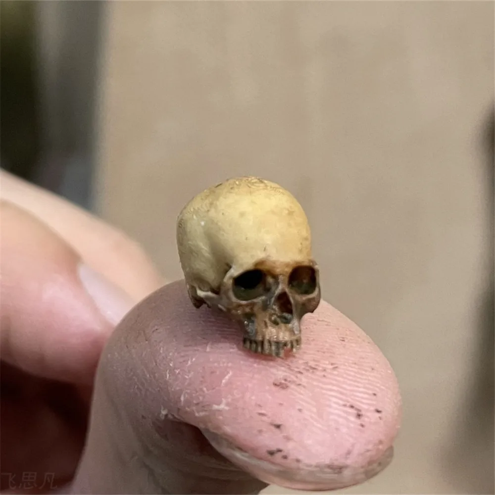 Mini Skull High Quality Miniat - Aquarium Marine Plants のレビューと価格