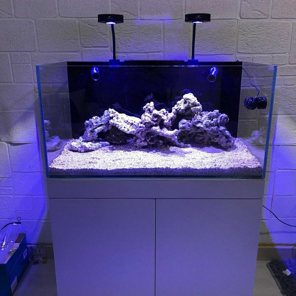 Spectra Aqua Knight V2 36W Ful - Aqua Marine Tank のレビューと価格