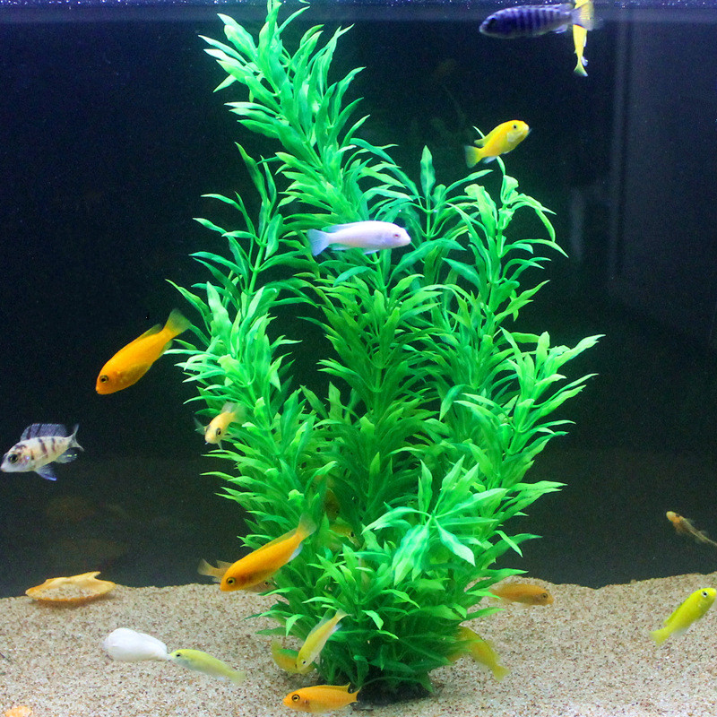 50CM Artificial Fish Tank Rare - Aquarium Marine Plants のレビューと価格