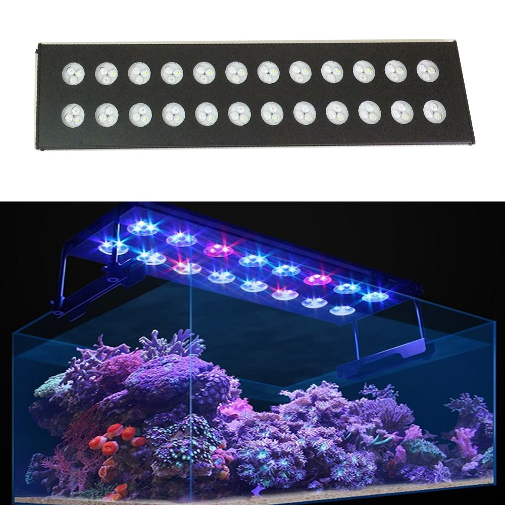 Spectra Aqua Helios WiFi Progr - Aqua Marine Tank のレビューと価格
